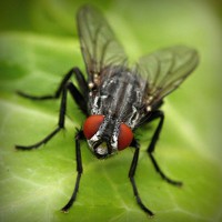 /album/guesssacg/photolia-a01-jpg/