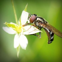 /album/guesssacg/photolia-a02-jpg/