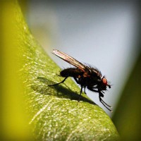 /album/guesssacg/photolia-a04-jpg/