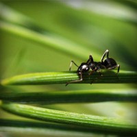 /album/guesssacg/photolia-a05-jpg/