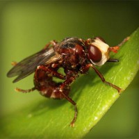 /album/guesssacg/photolia-a06-jpg/