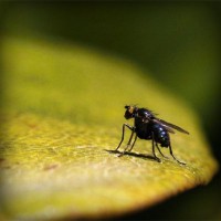 /album/guesssacg/photolia-a07-jpg/