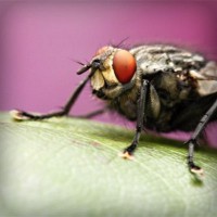 /album/guesssacg/photolia-a08-jpg/